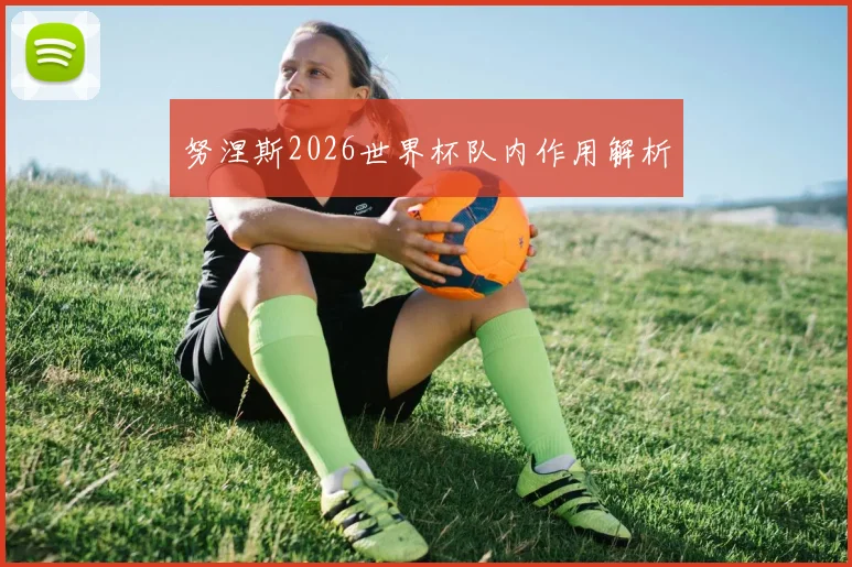 努涅斯2026世界杯队内作用解析
