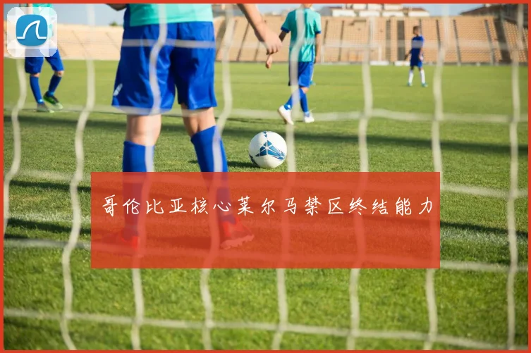 哥伦比亚核心莱尔马禁区终结能力