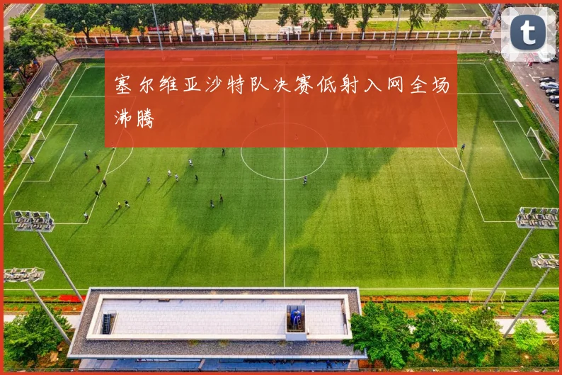 塞尔维亚沙特队决赛低射入网全场沸腾
