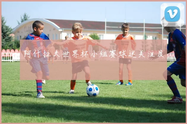 阿什拉夫世界杯小组赛球迷关注度