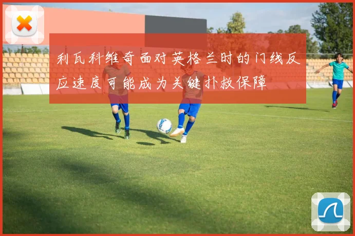 利瓦科维奇面对英格兰时的门线反应速度可能成为关键扑救保障