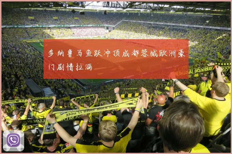 多纳鲁马鱼跃冲顶成都蓉城欧洲豪门剧情拉满