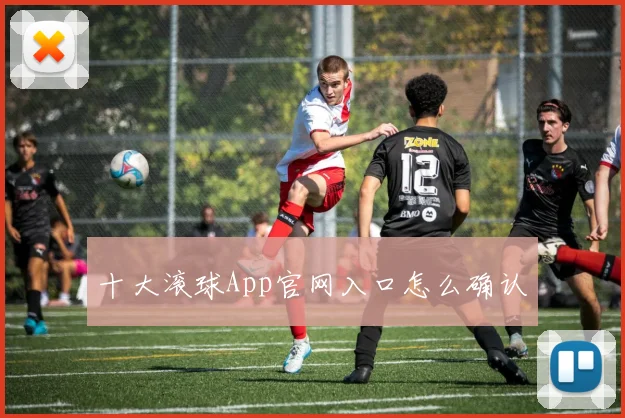 十大滚球App官网入口怎么确认